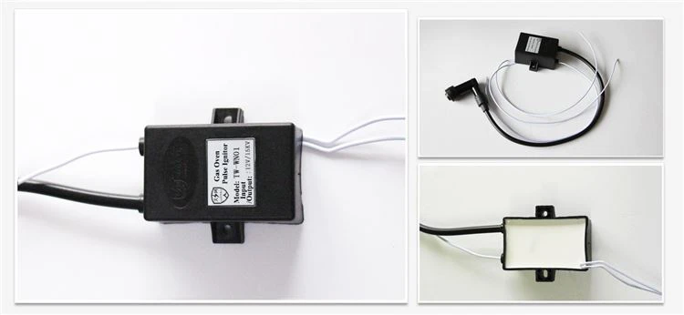 details of 12V electric igniter