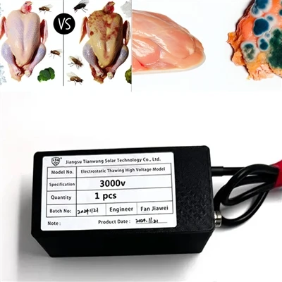 Elektrostaatiline värskuse säilitamise tehnoloogia: rakendused külma ahela sü...